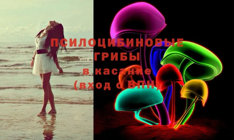 Псилоцибиновые грибы Magic Shrooms  Краснокамск 